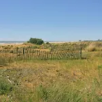 Just Relax In A Area Near The * ביביונה