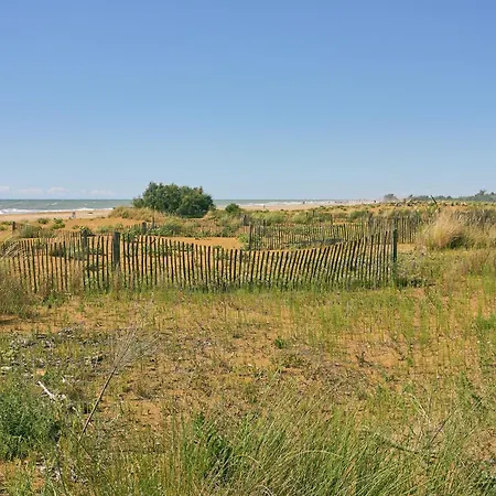Just Relax In A Area Near The * Bibione