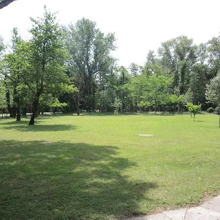 Just Relax In A Area Near The * 비비오네