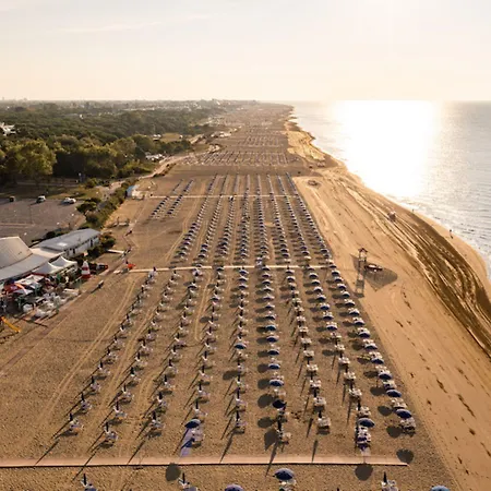 Just Relax In A Area Near The *