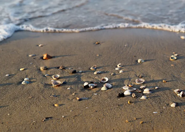 Just Relax In A Area Near The Appartement